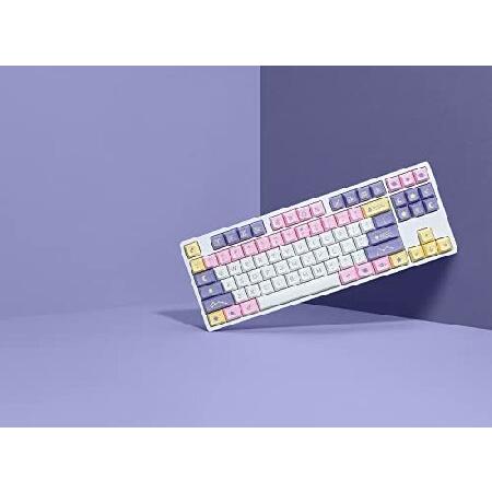 ネット販売済み Signature Plastics DROP DSA Astrolokeys キーキャップ ABSダブルショットレジェンド MXスタイル メカニカルキーボード用 104キーキット テンキーレスとフルサ