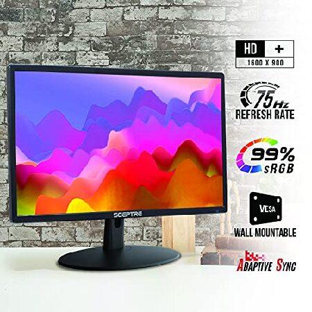 Sceptre 20 inch LED Monitor 1600 x 900 HD+ 75Hz HDMI VGA Build-in Speakers, 99% sRGB Wall Mount Ready Black 2021 (E205W-16003RTT)｜koostore｜04