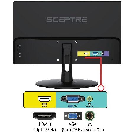 Sceptre 20 inch LED Monitor 1600 x 900 HD+ 75Hz HDMI VGA Build-in Speakers, 99% sRGB Wall Mount Ready Black 2021 (E205W-16003RTT)｜koostore｜05