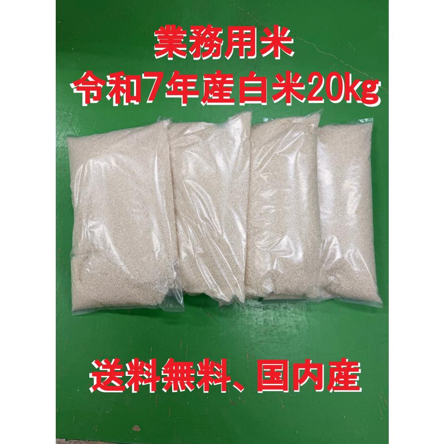コシヒカリ 業務用白米20kg（5kg×4袋）お米 最安値 送料無料 令和7年産