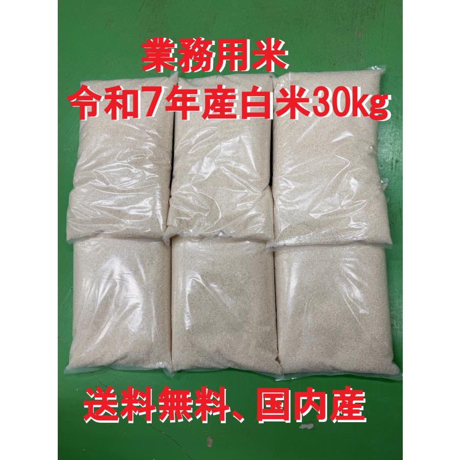 業務用白米30kg（5kg×6袋）お米 最安値 送料無料 令和7年産 新潟県産地 