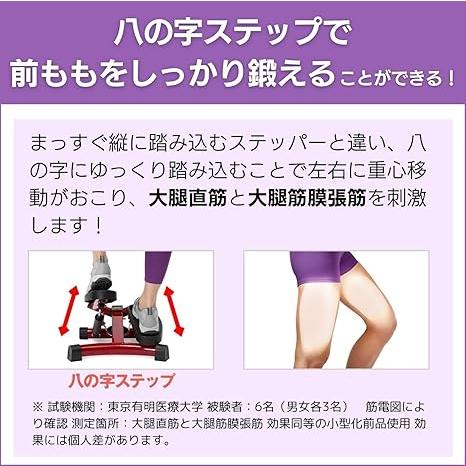 中古 Shop Japan(ショップジャパン) 健康ステッパー ナイスデイ 有酸素 