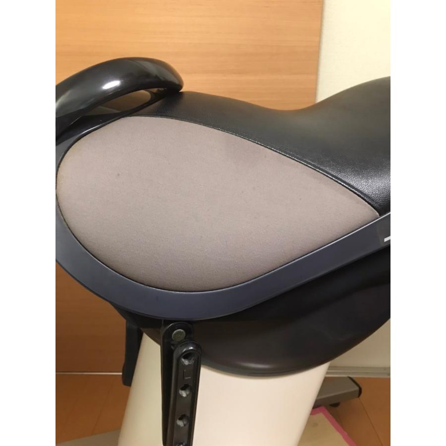 中古 動作OK 訳アリ ナショナル(National) 乗馬フィットネス機器 