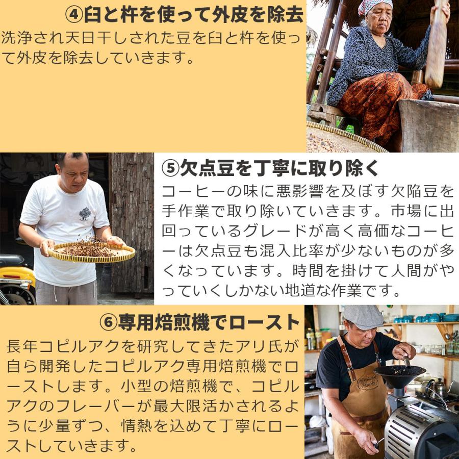 アリズ コピルアク アラビカ お得な500g 高級 焙煎コーヒー豆 アリズ コピルアク アラビカ お得な500g 高級 焙煎コーヒー豆