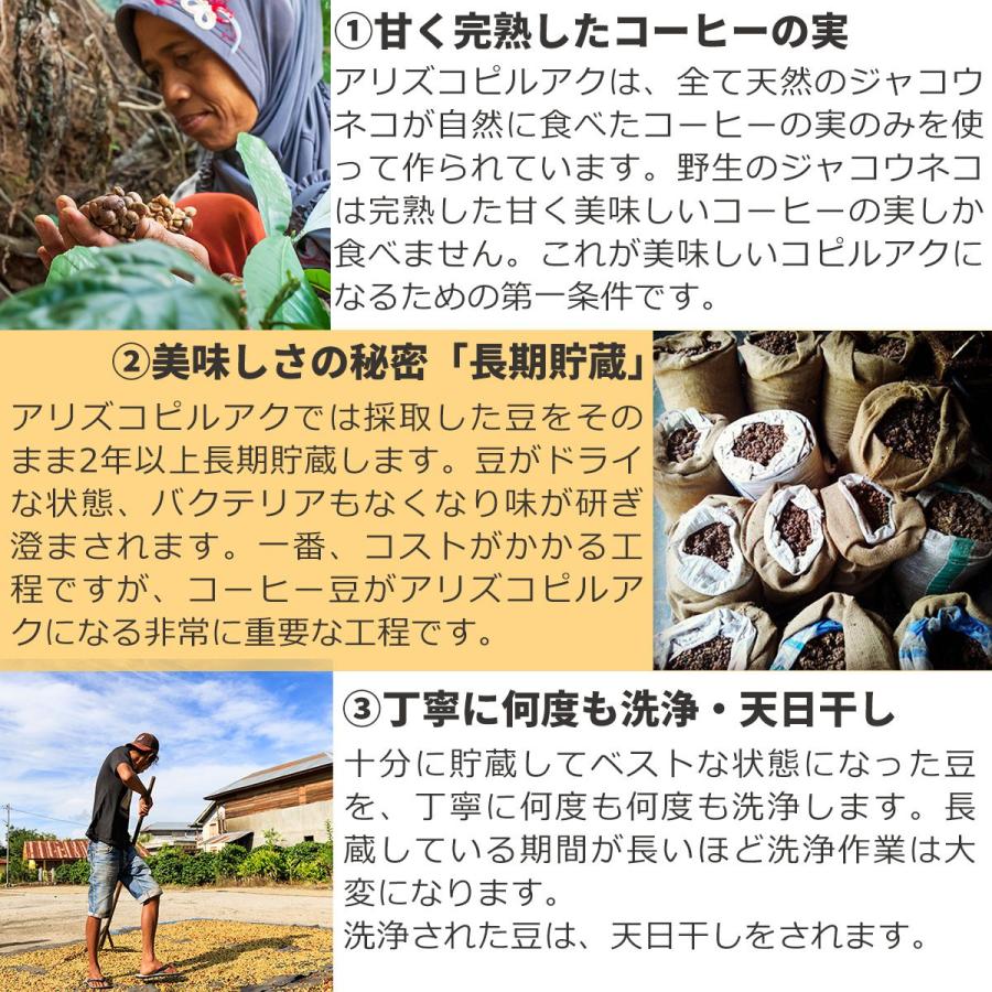 アリズ コピルアク アラビカ 100g ギフトボックス 高級 焙煎コーヒー豆