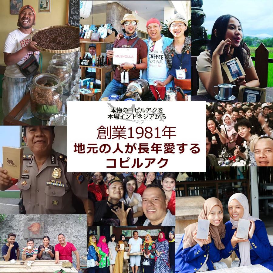 アリズ コピルアク アラビカ 100g ギフトボックス 高級 焙煎コーヒー豆