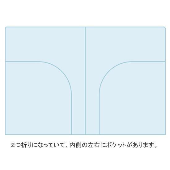 カカオフレンズ 2ポケット ファイル 【韓国文具】[文房具][kakao