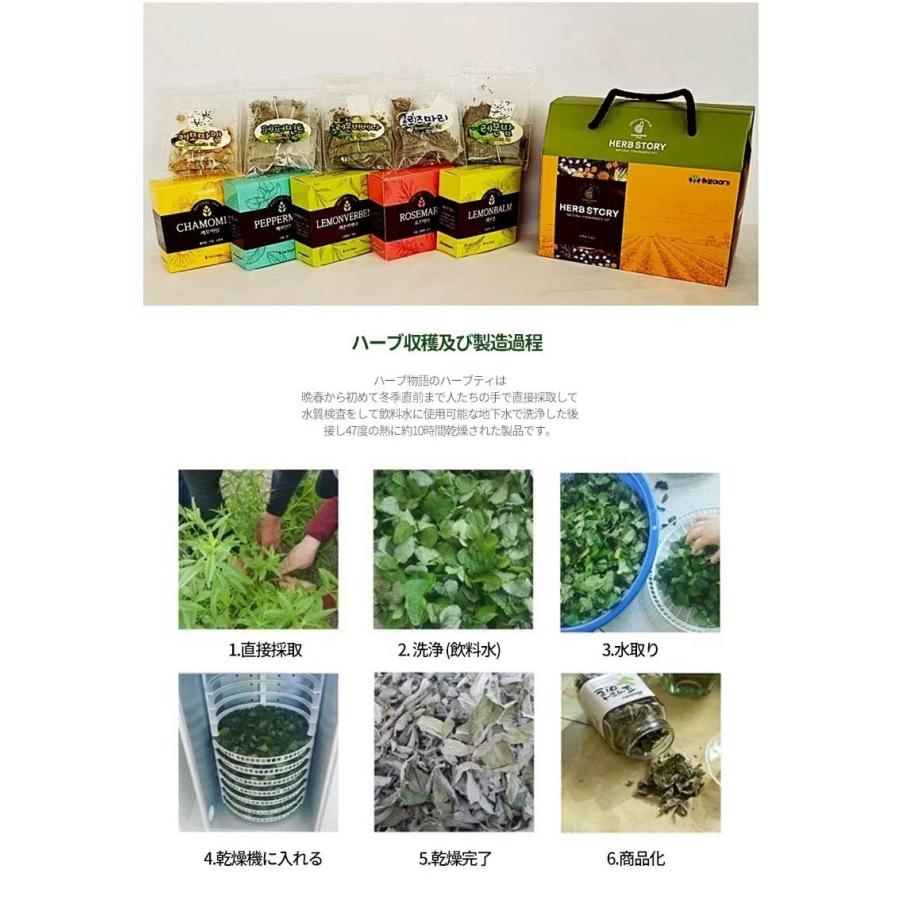 ハーブティバッグ 5種セット 各6個入 ハーブティ 無農薬農産物 お茶 健康なお茶 カモミール ローズマリー レモンバーベナ ペパーミント レモンバーム Sbc18 Hb 002 韓国商品館 通販 Yahoo ショッピング