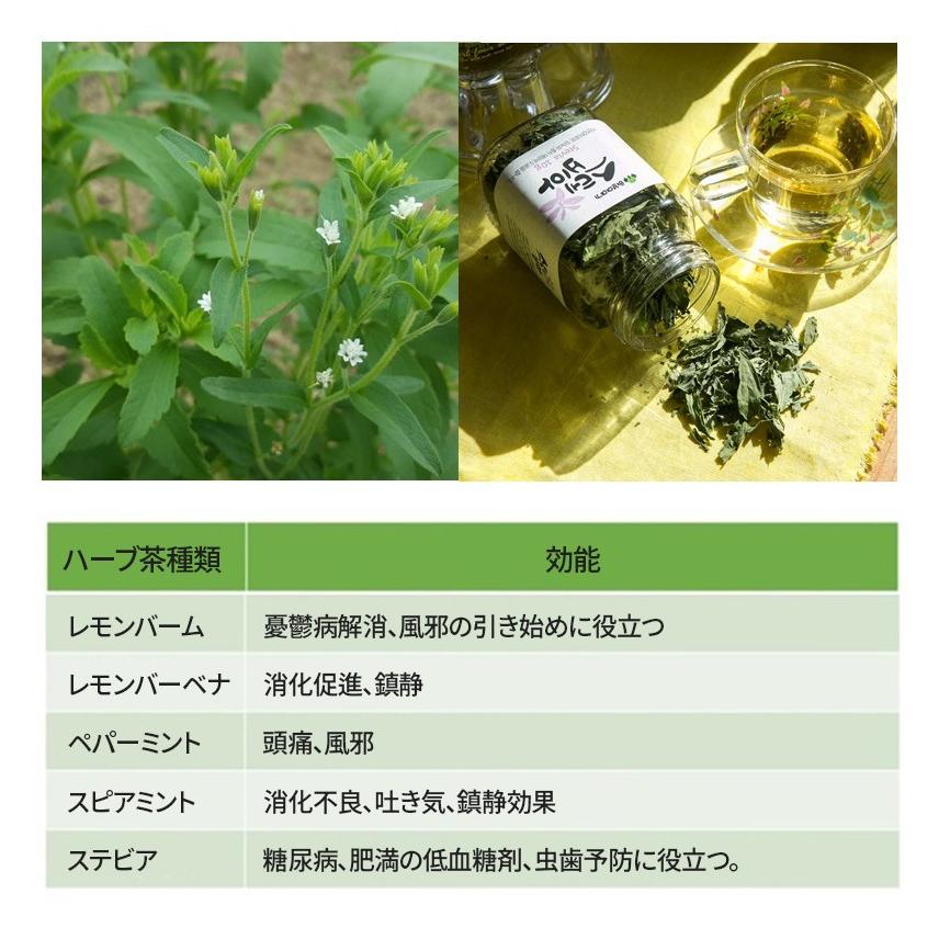 ハーブ茶5種類 瓶包装 1個選び ハーブティ 無農薬農産物 お茶 ティー 茶 ギブト 瓶 香り 手作り レモンバーム レモンバーベナ ハーブ物語 Sbc18 Hb 004 韓国商品館 通販 Yahoo ショッピング