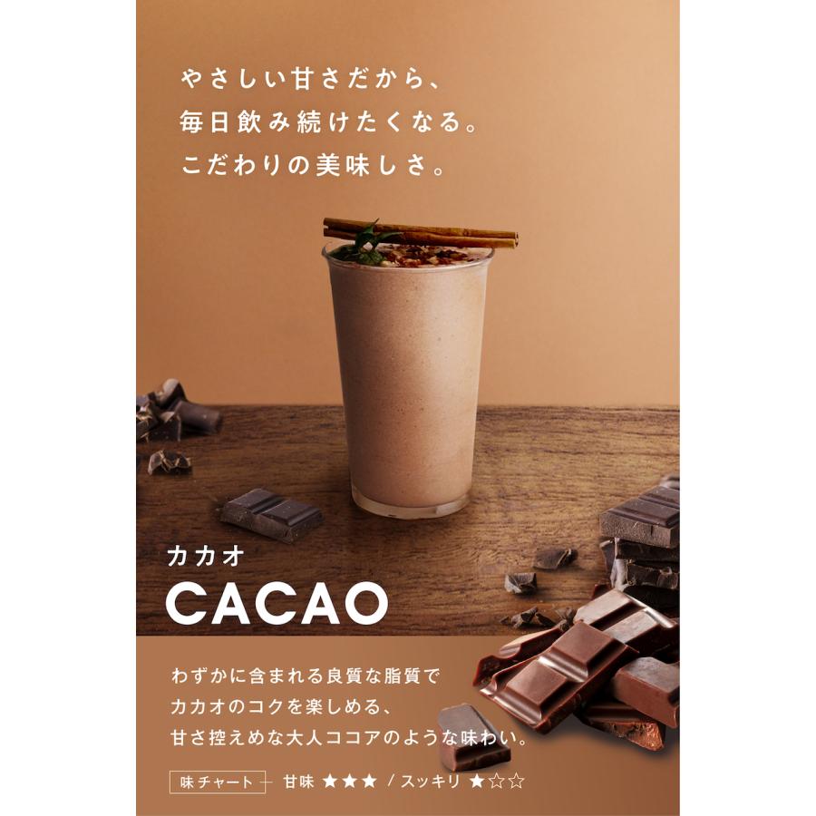 完全栄養プロテイン KOREDAKE 250g 10回分 完全栄養食 プロテイン ソイ