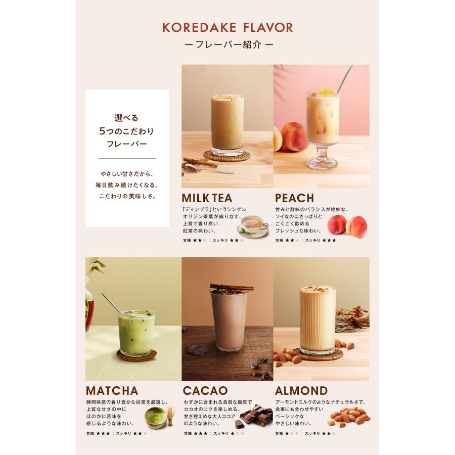 完全栄養プロテイン KOREDAKE 250g 10回分 完全栄養食 プロテイン ソイ