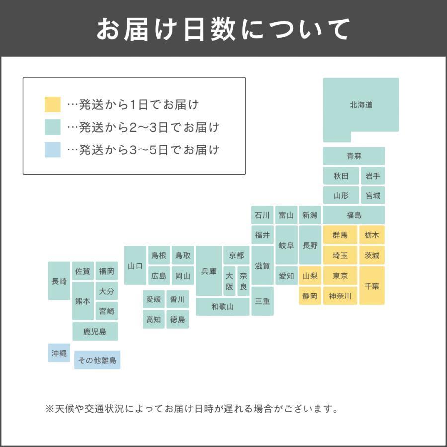 イクモア ナノグロウリッチ 女性用育毛剤 詰め替え 130ml : これが