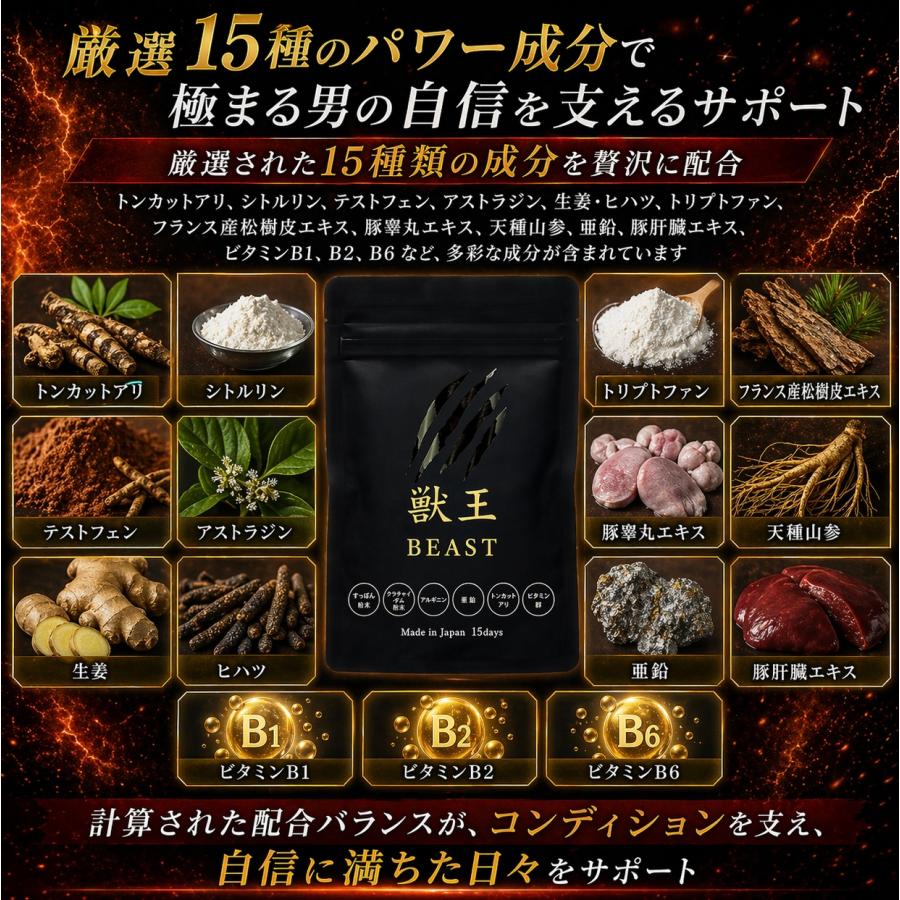 獣王beast サプリ ビーストトンカットアリ アルギニン シトルリン 45粒
