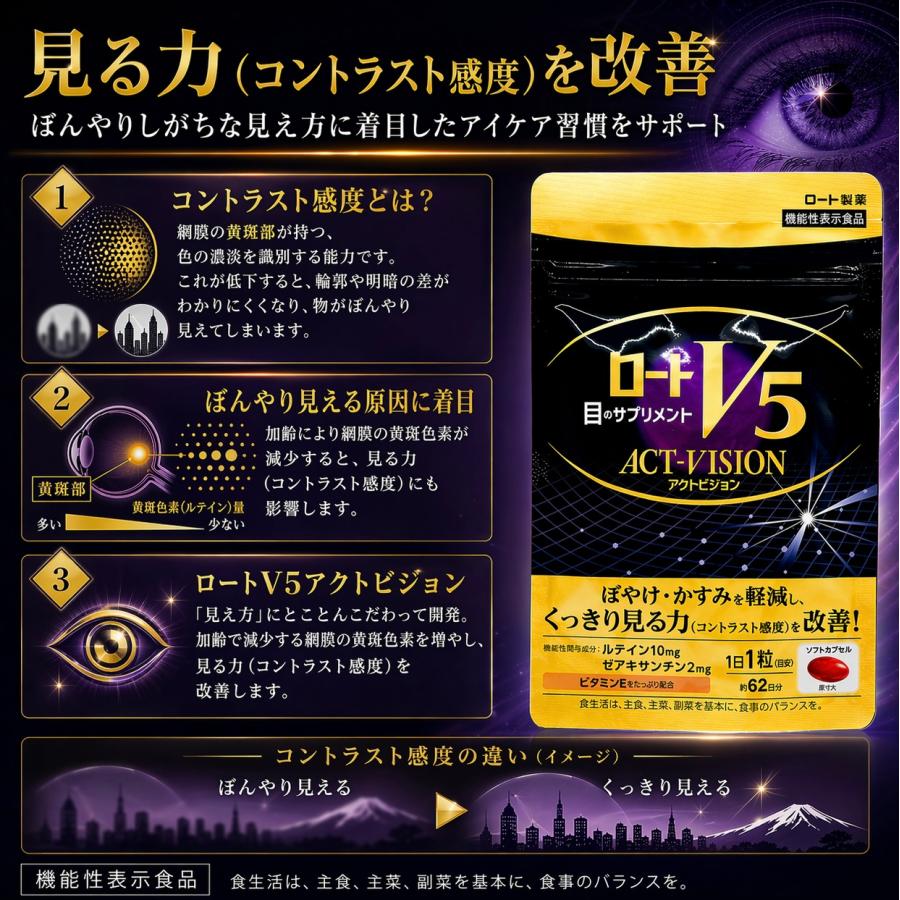 ロートVアクティブ ロートv5 アクトビジョン 2袋 目のサプリメント 62