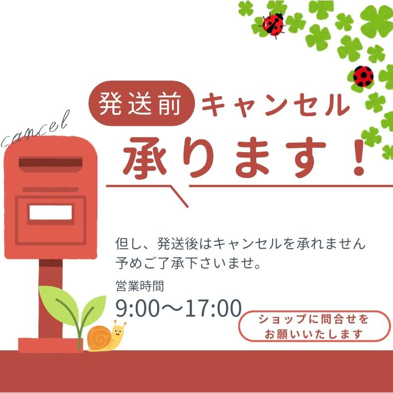 2箱】ラグネット ソリッド パフューム No.01 ムスクの香り 10g