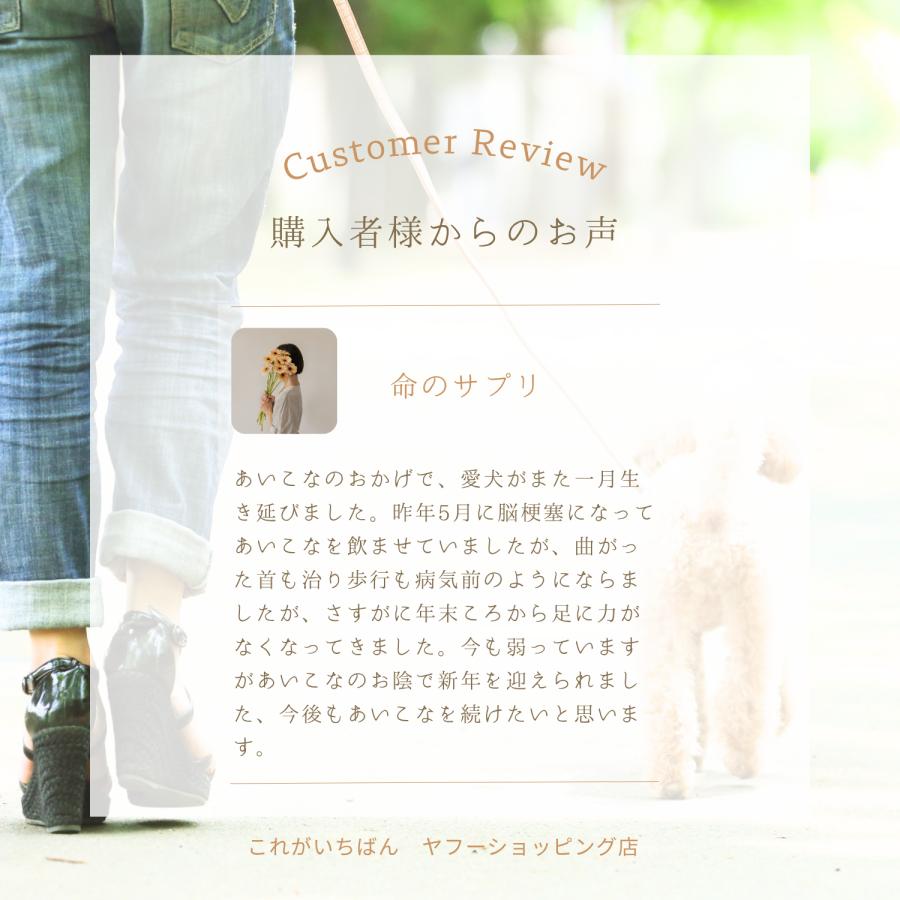 あいこな aikona 犬用 サプリメント 2袋 腸活 アイコナ 国内製造