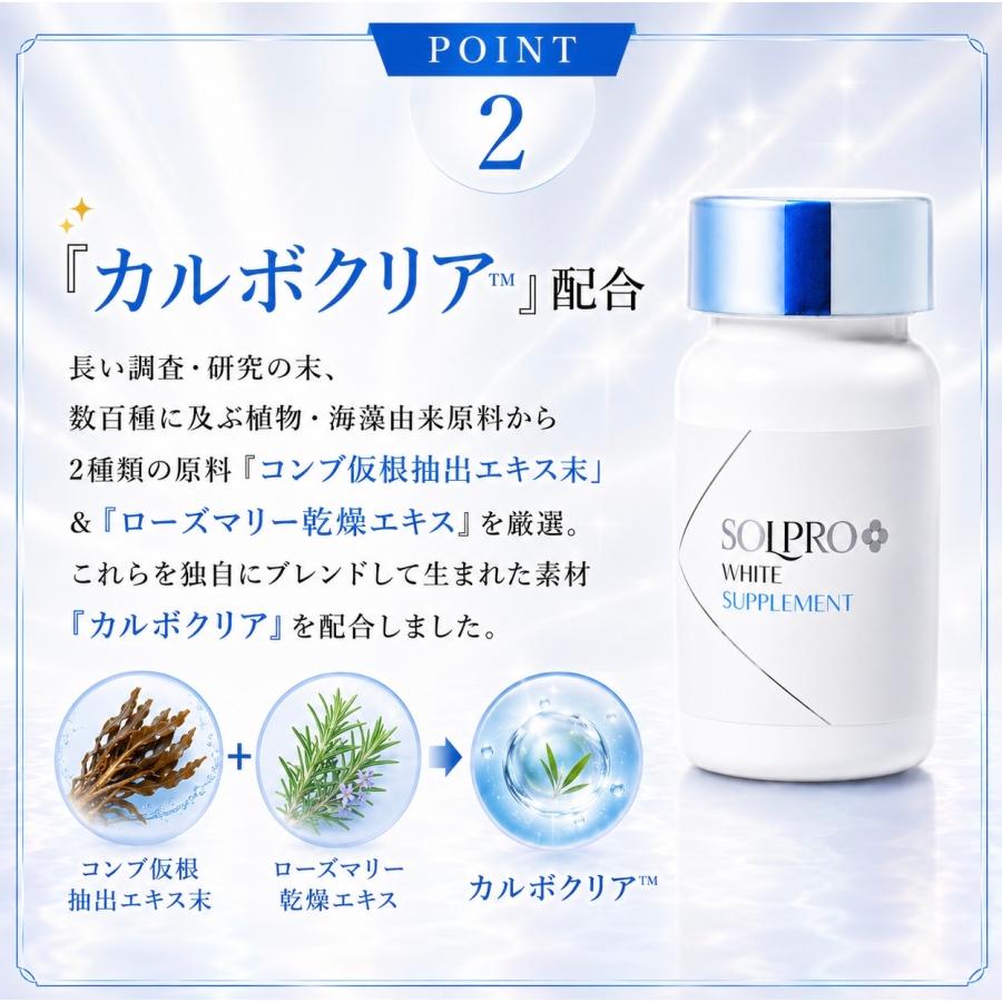 KAIGEN（カイゲン） ソルプロプリュスホワイト SOLPRO WHITE 3個