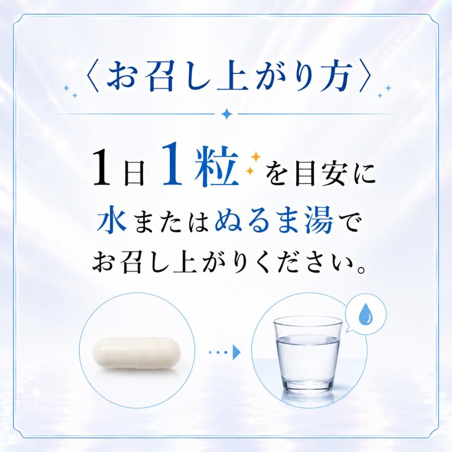KAIGEN（カイゲン） ソルプロプリュスホワイト SOLPRO WHITE 3個