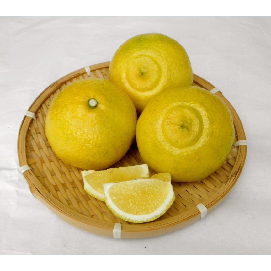 送料無料 家庭用「はるか」中玉 約10キロ入り（28～36個）