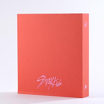 D'FESTA COMPLETE EDITION STRAY KIDS（写真集+Blu-ray） : コリタメ
