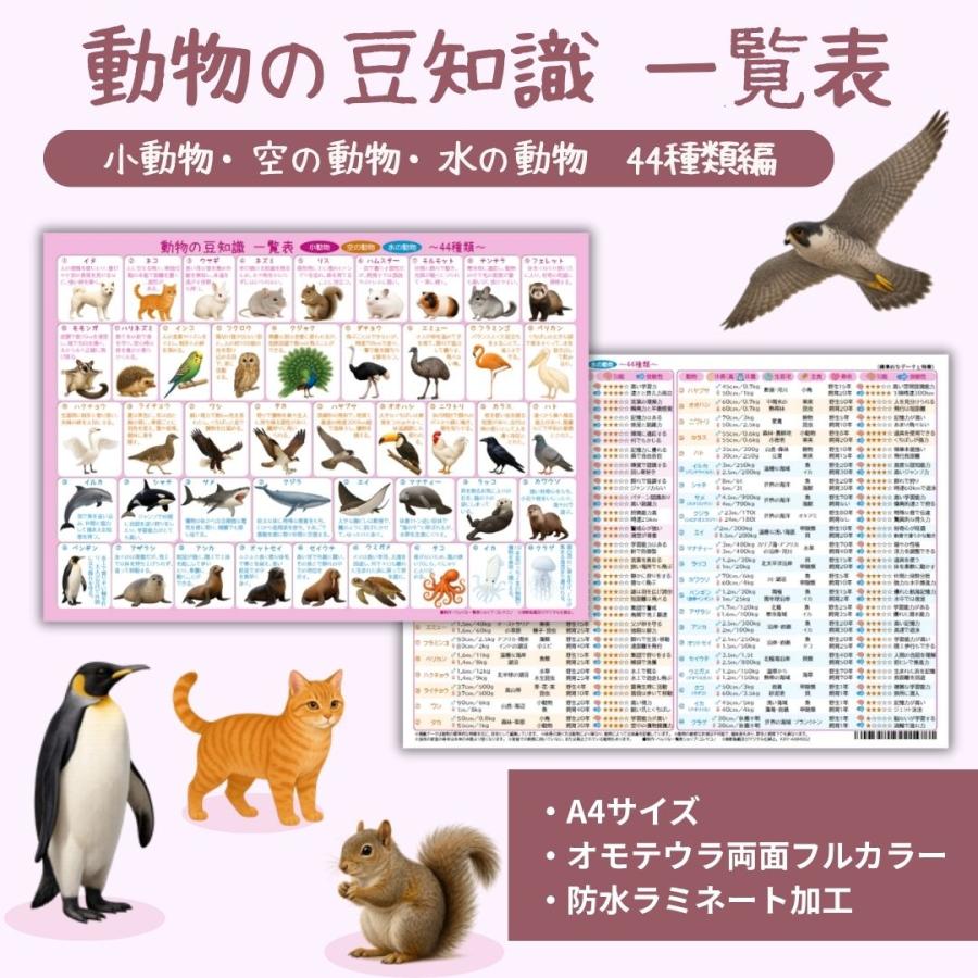 動物の豆知識一覧表【小動物・空の動物・水の動物 44種類編】A4サイズ
