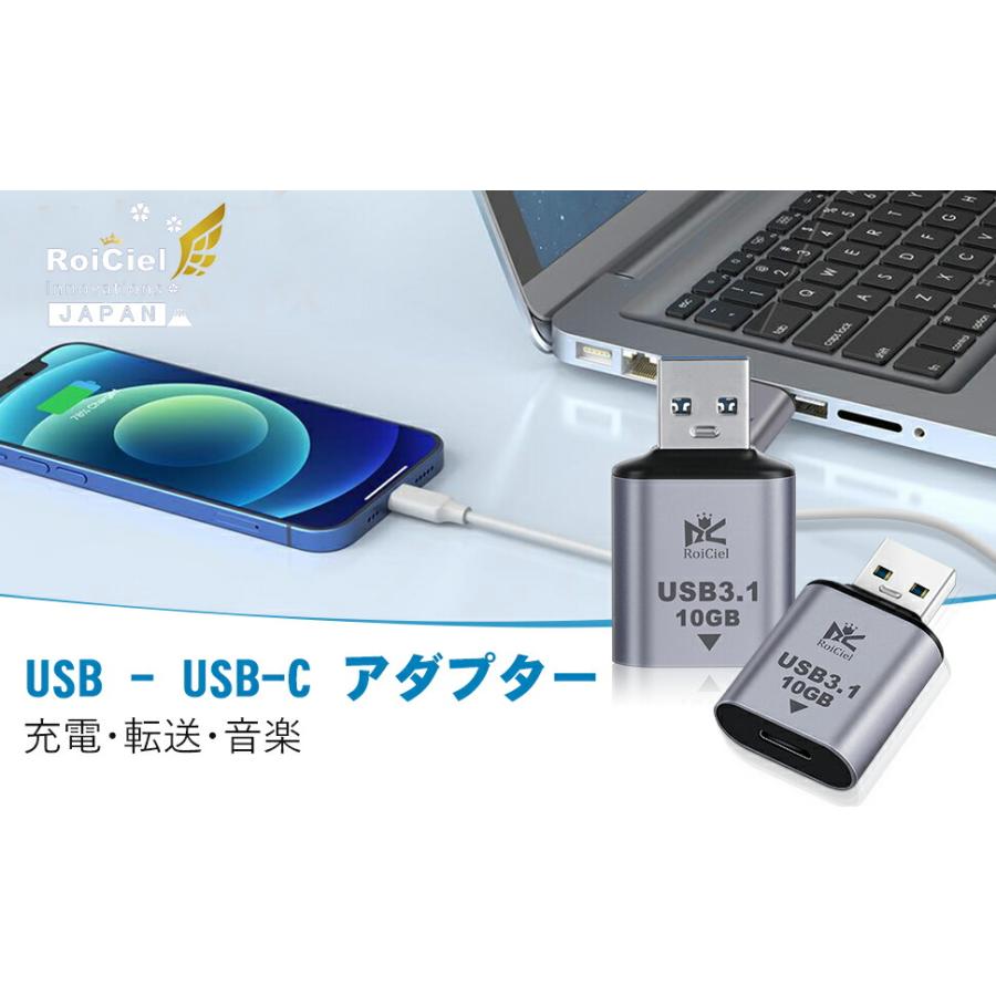 RoiCiel Type C(メス)からType A(オス)へUSB3.1 Gen 2変換アダプター