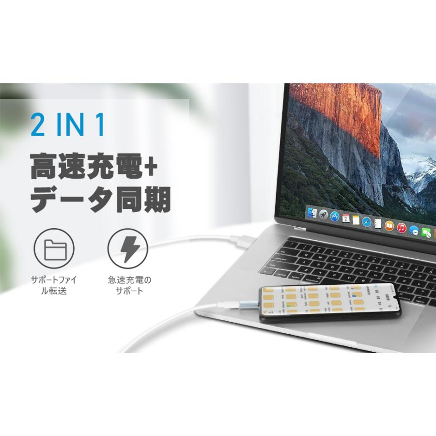 RoiCiel LightningからType-Cへアルミニウム合金製変換アダプター
