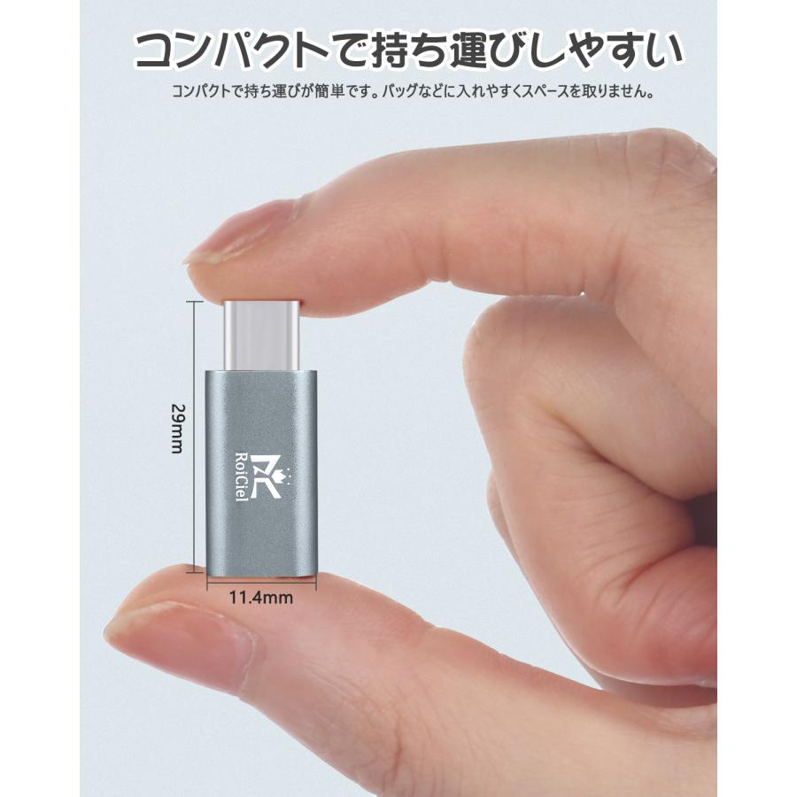 2個セット】RoiCiel LightningからType-Cへアルミニウム合金製変換