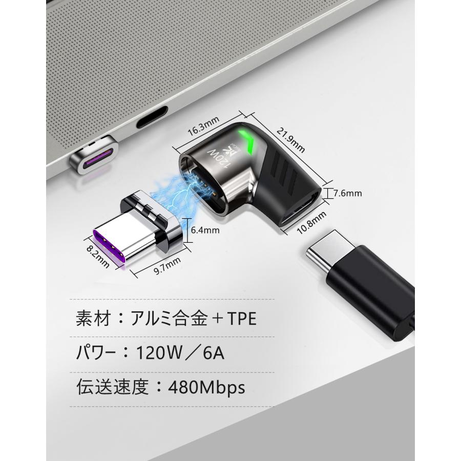 RoiCiel マグネット着脱式タイプ変換アタプター専用追加端子Lightning