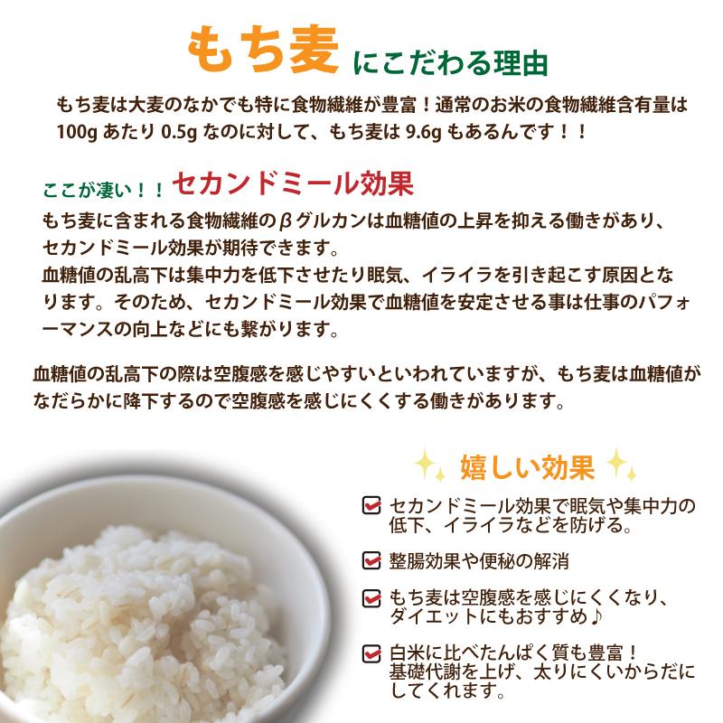 ファイブプラス 医師監修 2コースから選べる 健康維持 冷凍弁当 15食セット 送料込み(一部地域を除く) もち麦 宅配 電子レンジ 惣菜 ダイエット 糖尿病 中性脂肪_6