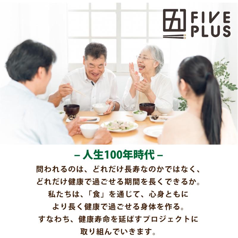 ファイブプラス 医師監修 2コースから選べる 健康維持 冷凍弁当 15食セット 送料込み(一部地域を除く) もち麦 宅配 電子レンジ 惣菜 ダイエット 糖尿病 中性脂肪_8
