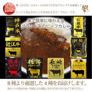 ブランド牛のビーフカレー8種より厳選4袋セット (1人前160g × 4袋) 中