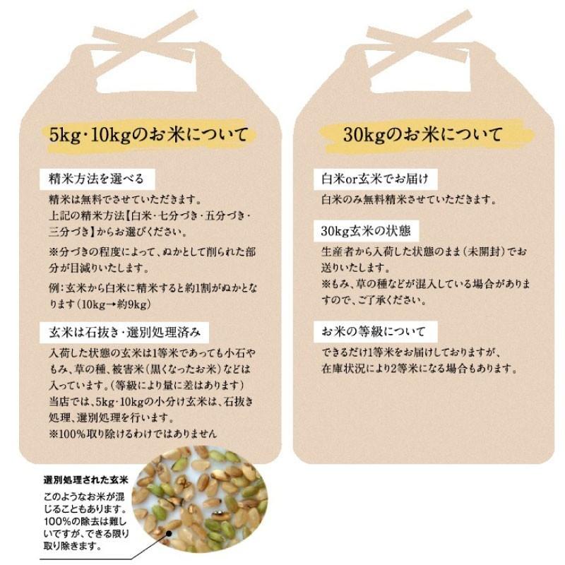 令和5年産 滋賀県産コシヒカリ10Kg玄米 【精米方法が選べます】 お好きな分つきに 健康応援 送料無料 一部地域を除く｜korezo-h｜05