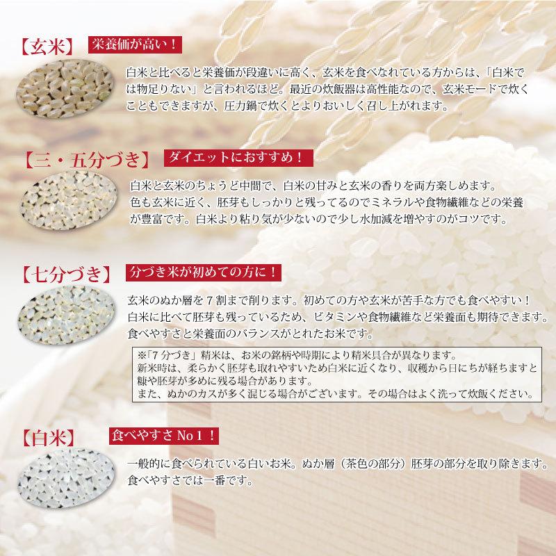 新米　滋賀県　秋の詩　10kg 秋の詩 令和4年新米 滋賀県産秋の詩10Kg玄米 【精米方法が選べます