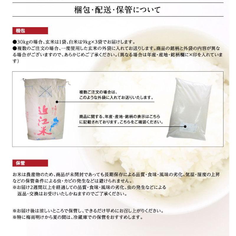 秋の詩 令和4年新米 滋賀県産秋の詩10Kg玄米 【精米方法が選べます