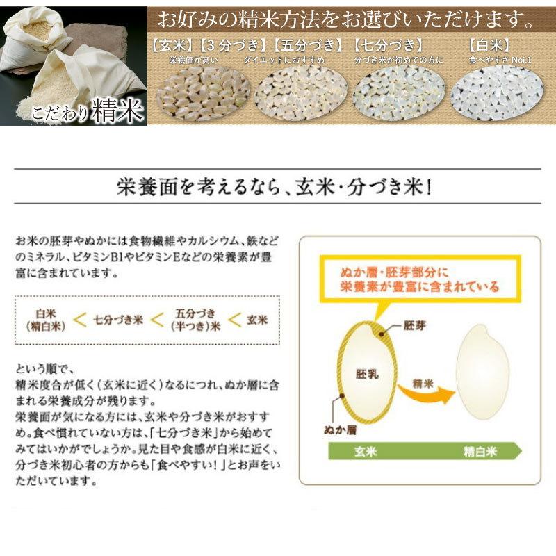 令和5年産 滋賀県産キヌヒカリ5Kg玄米 【精米方法が選べます】 お好きな分つきに 健康応援 送料無料※一部地域を除く｜korezo-h｜03