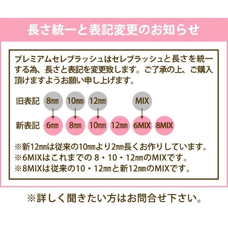 まつげエクステ キット C 0.06mm 極細 束タイプ 新12点セット