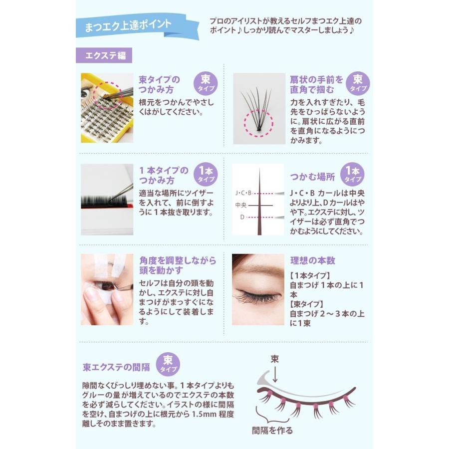 まつげエクステ キット C 1本タイプ 新12点セット 大人アイ ロイヤル