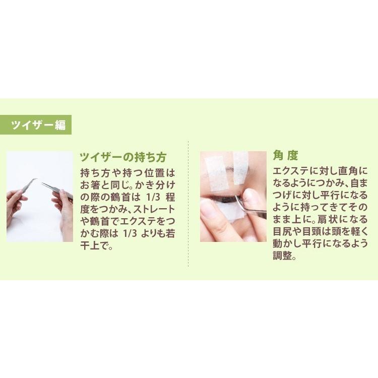まつげエクステ キット C 1本タイプ 新12点セット 大人アイ ロイヤル