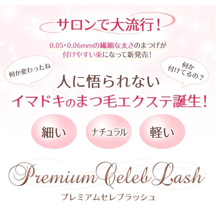 まつげエクステ セルフ フレア 極細 軽量 0.06mm 3/4/6本束 プレミアム