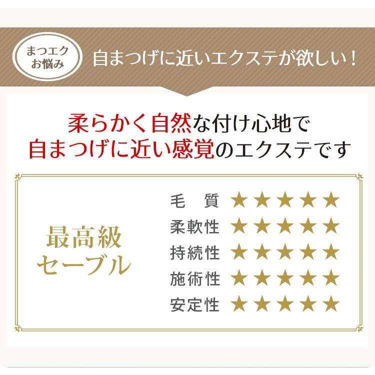 まつげエクステ キット D 6点 セルフ 大人アイ クチュリエール1列 選べる豊富なカール1本タイプ 2個&選べる日本製超低刺激グルー |  | 04