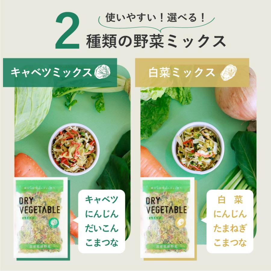 380円オフ 乾燥野菜 国産 DRYVEGETABLE 140ｇドライベジ ミックス 野菜 一人暮らし 常備菜 時短 キャベツ 白菜 小松菜 人参 大根 玉ねぎ 野菜｜korin｜10