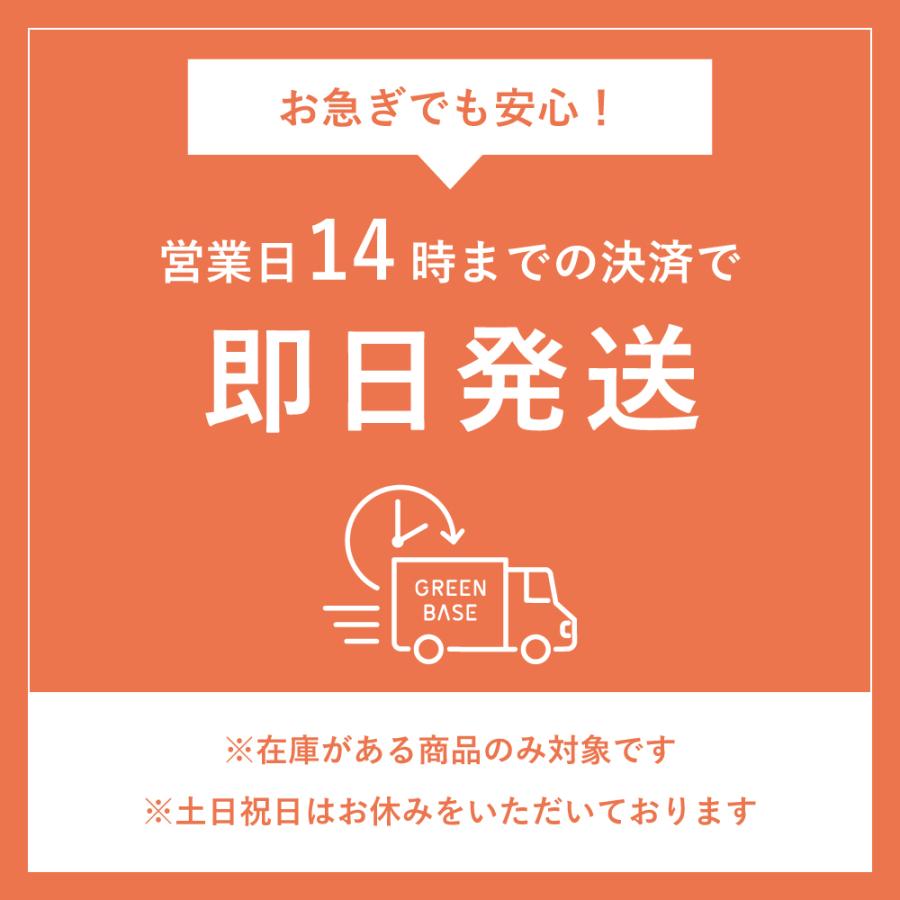 こえびまるごーと! 1袋 210g えびせん 海老 おやつ ノンフライ たんぱく質 カルシウム お菓子 おつまみ 煎餅 せんべい お茶請け 宅配便 送料無料｜korin｜21