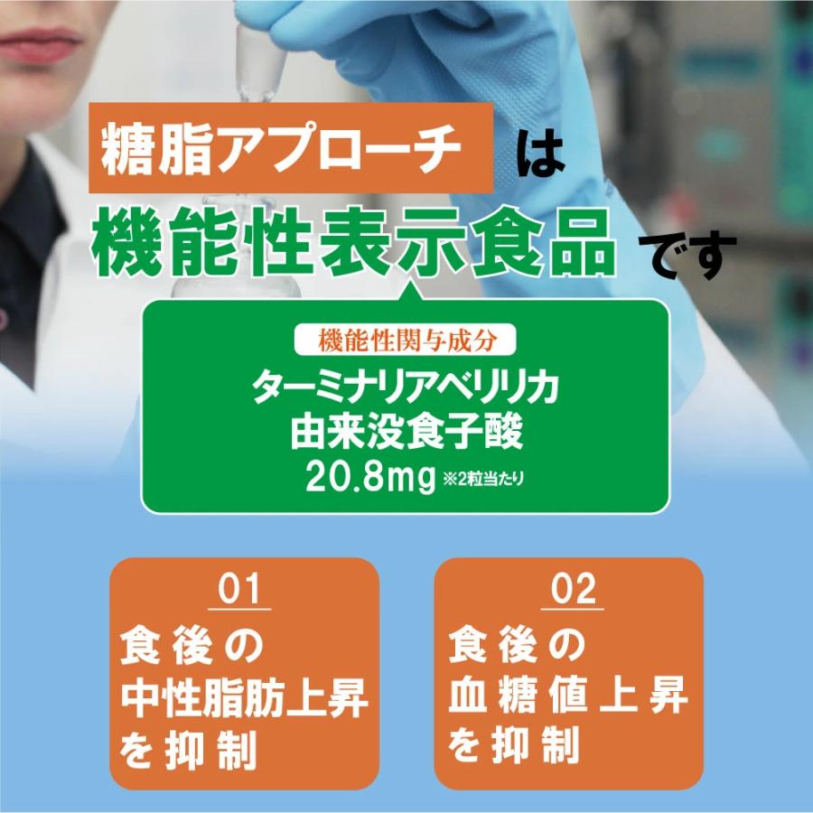 ターミナリアベリリカ 糖脂アプローチ 1ヶ月分／糖質＆脂質ブロック