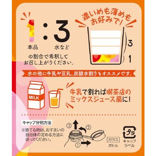 ヤマモリ 甘熟王 フルーツミックス 黒酢 500ml ×2本｜korokoro-shop｜05