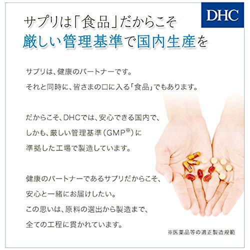 DHC ヘム鉄 30日分 60粒｜korokoro-shop｜05