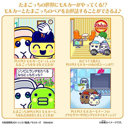 たまスマカード PUI PUI モルカーフレンズ｜korokoro-shop｜07