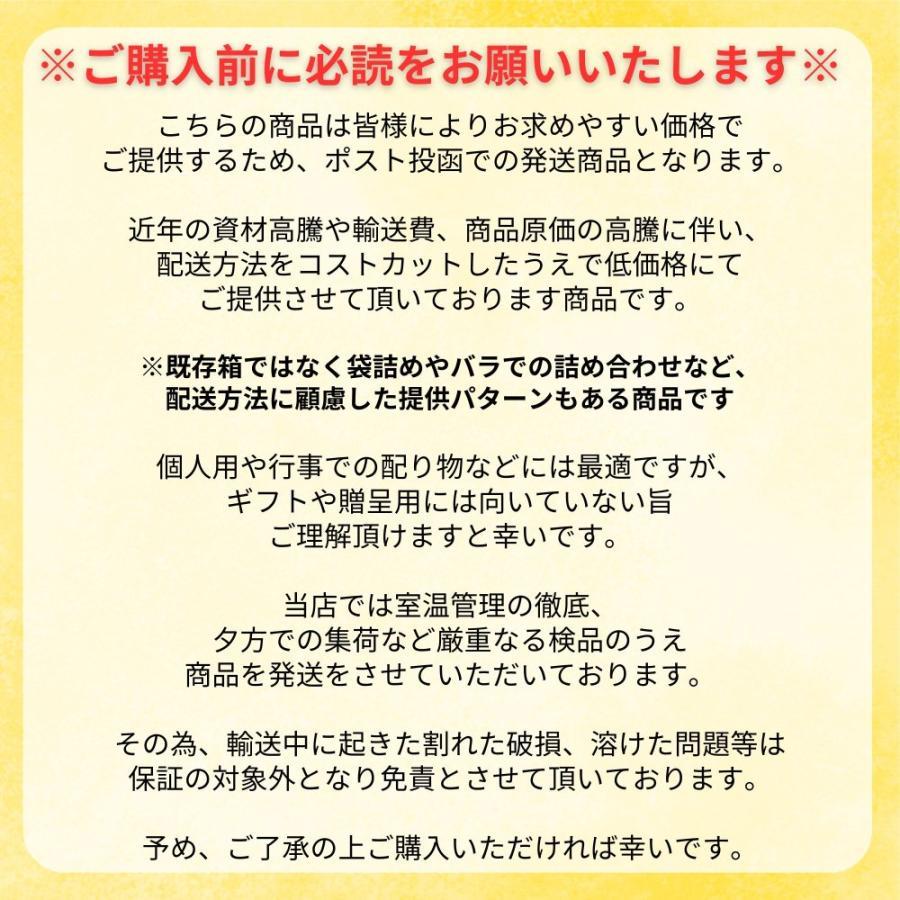 たまごっち BANDAI バンダイ Tamagotchi Connection(たまごっち たまごっち BANDAI バンダイ Tamagotchi Connection(たまごっち