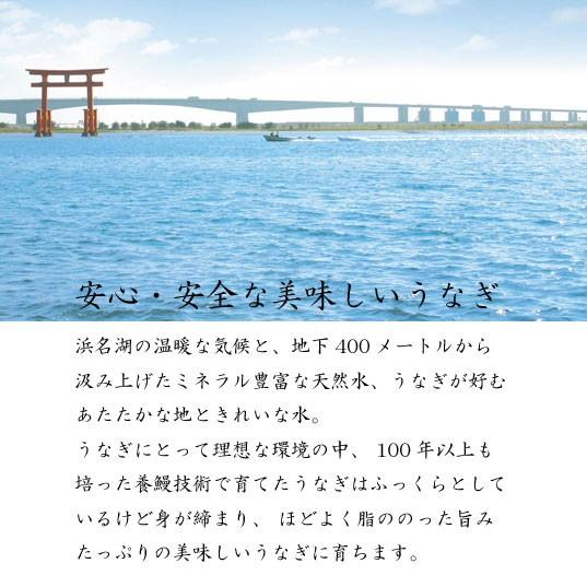 うなぎ蒲焼き　国産　2人前　110g×2　浜松　浜名湖　長焼き　冷凍便　お吸物セット　お取り寄せ |  | 01