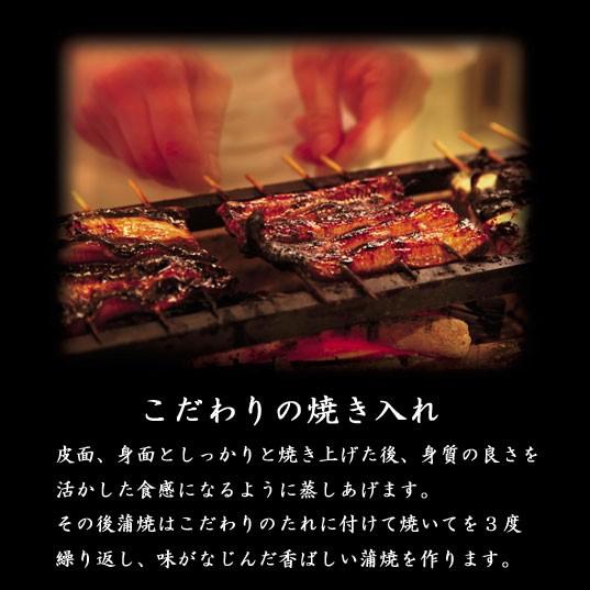 うなぎ蒲焼き　国産　2人前　110g×2　浜松　浜名湖　長焼き　冷凍便　お吸物セット　お取り寄せ |  | 02